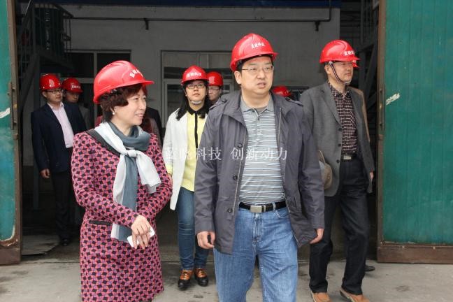 TG反波胆科技肩负“陕西省重大科技立异项目”通过验收