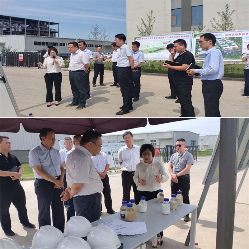 渭南市市长王琳一行调研蒲城TG反波胆新质料工业园项目