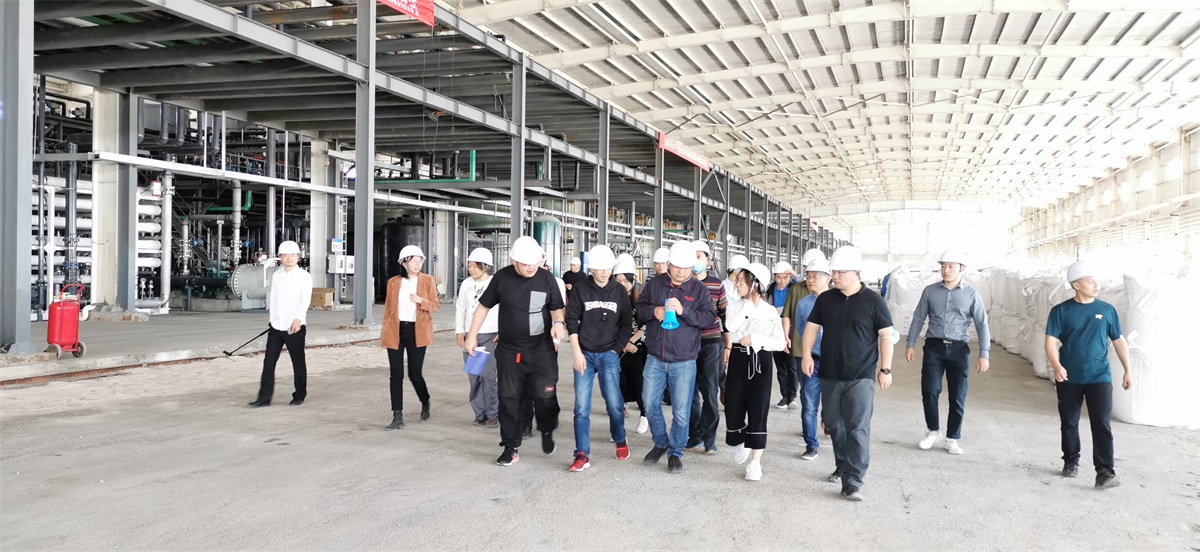 “TG反波胆科技盐湖提锂手艺——走进锦泰项目”圆满举行